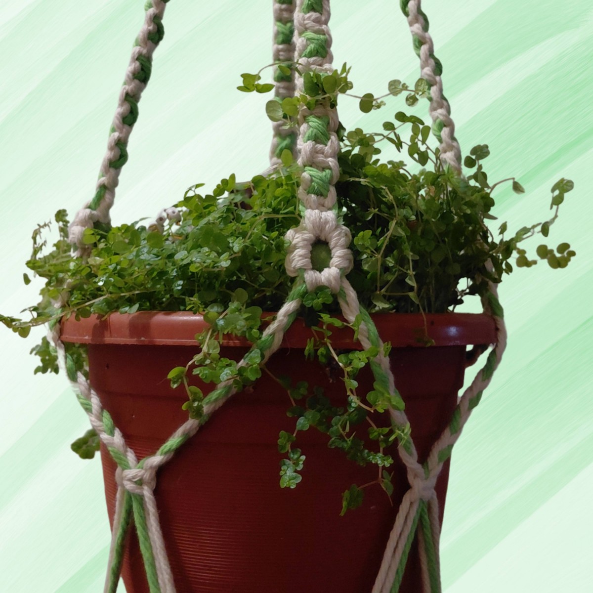Macramé Plant Hanger – Green and White With Bud Tassels image 5