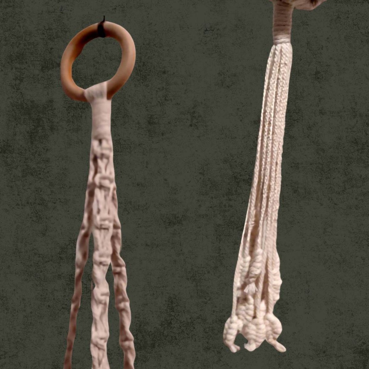 Macramé Plant Hanger with Leaf Detail image 3