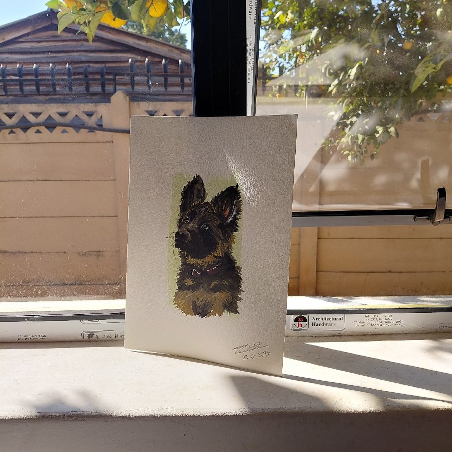 Puppy Shepherd Waterpaint