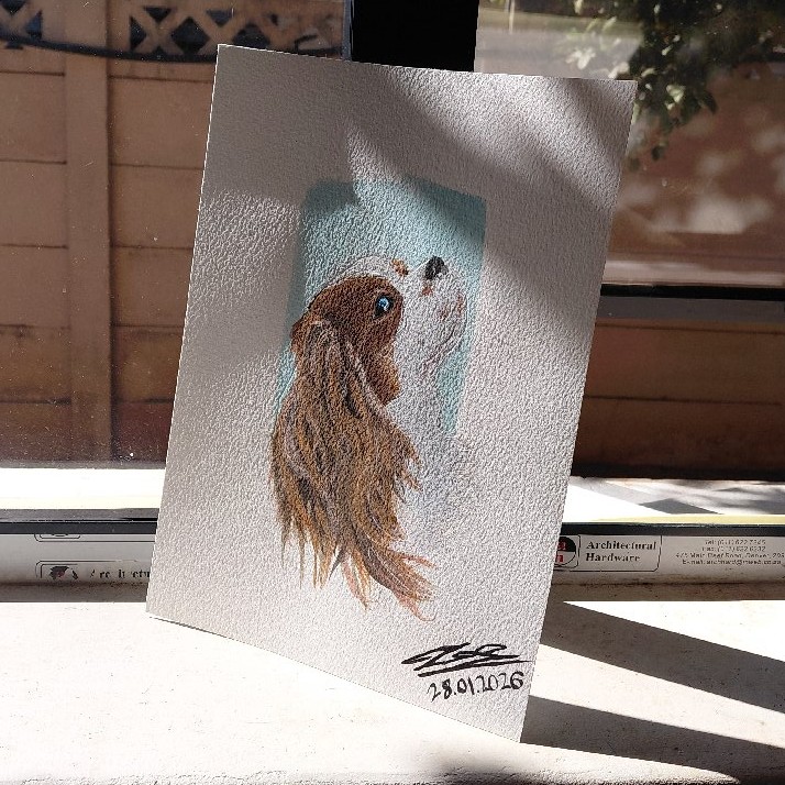 Custom Pet image 3