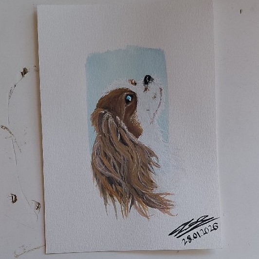Custom Pet image 4
