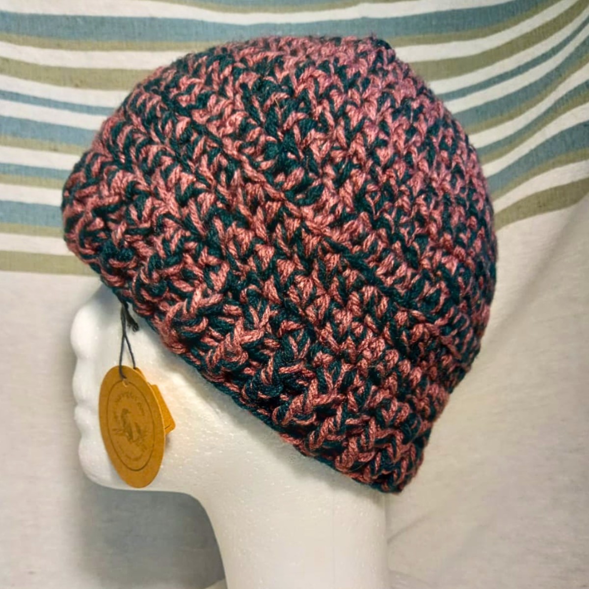 Adult Crochet Beanie in Oxide and Teal