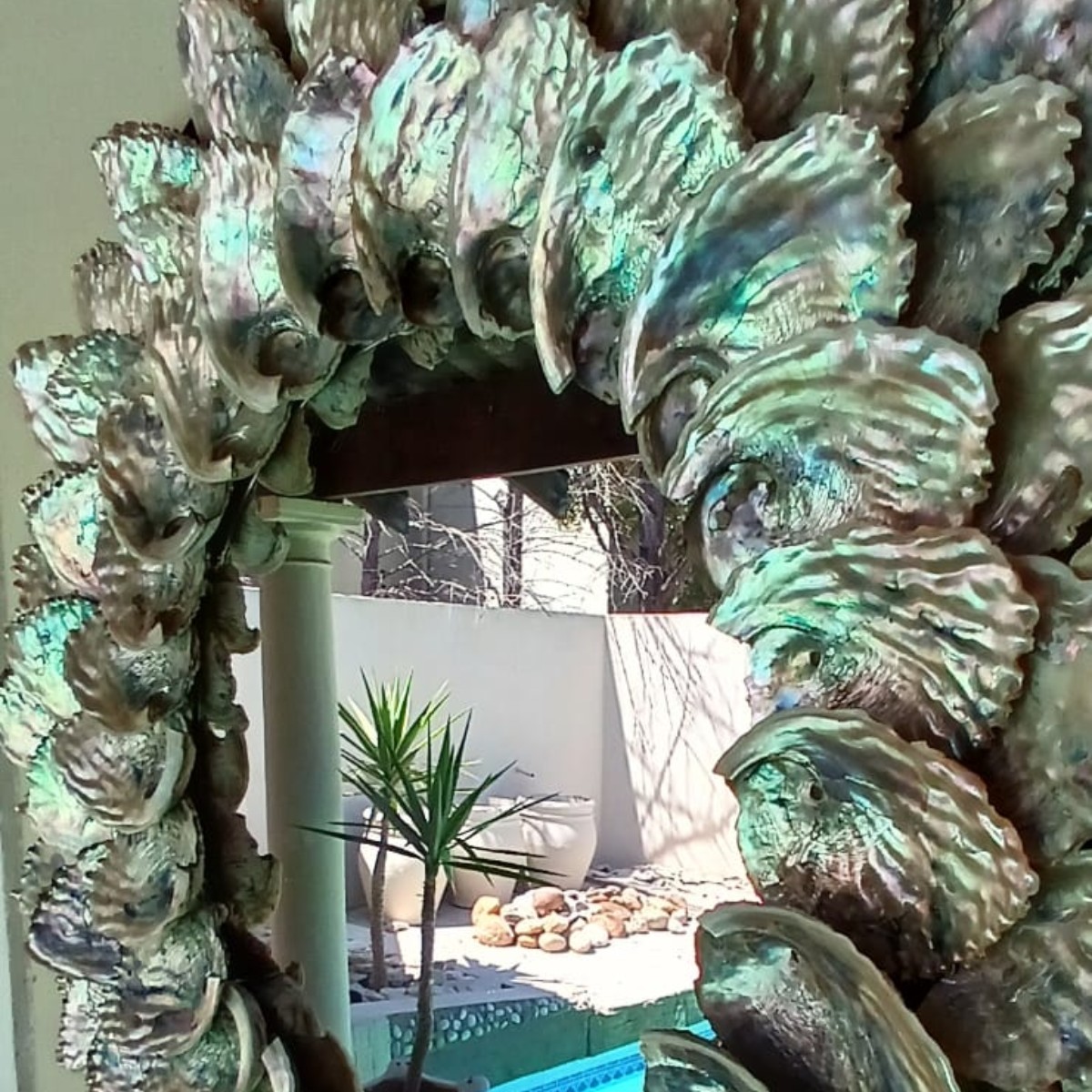 Abalone Ocean Mirror image 3