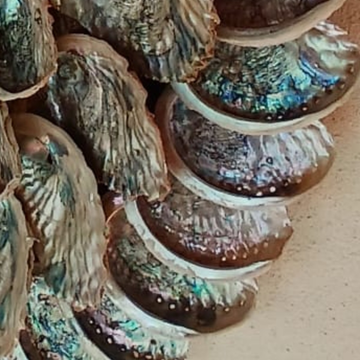 Abalone Galaxy Mirror image 7
