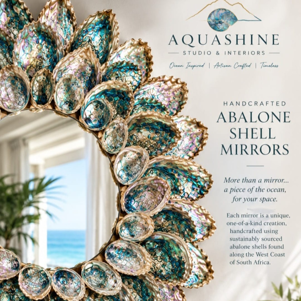 Abalone Sunrise image 3