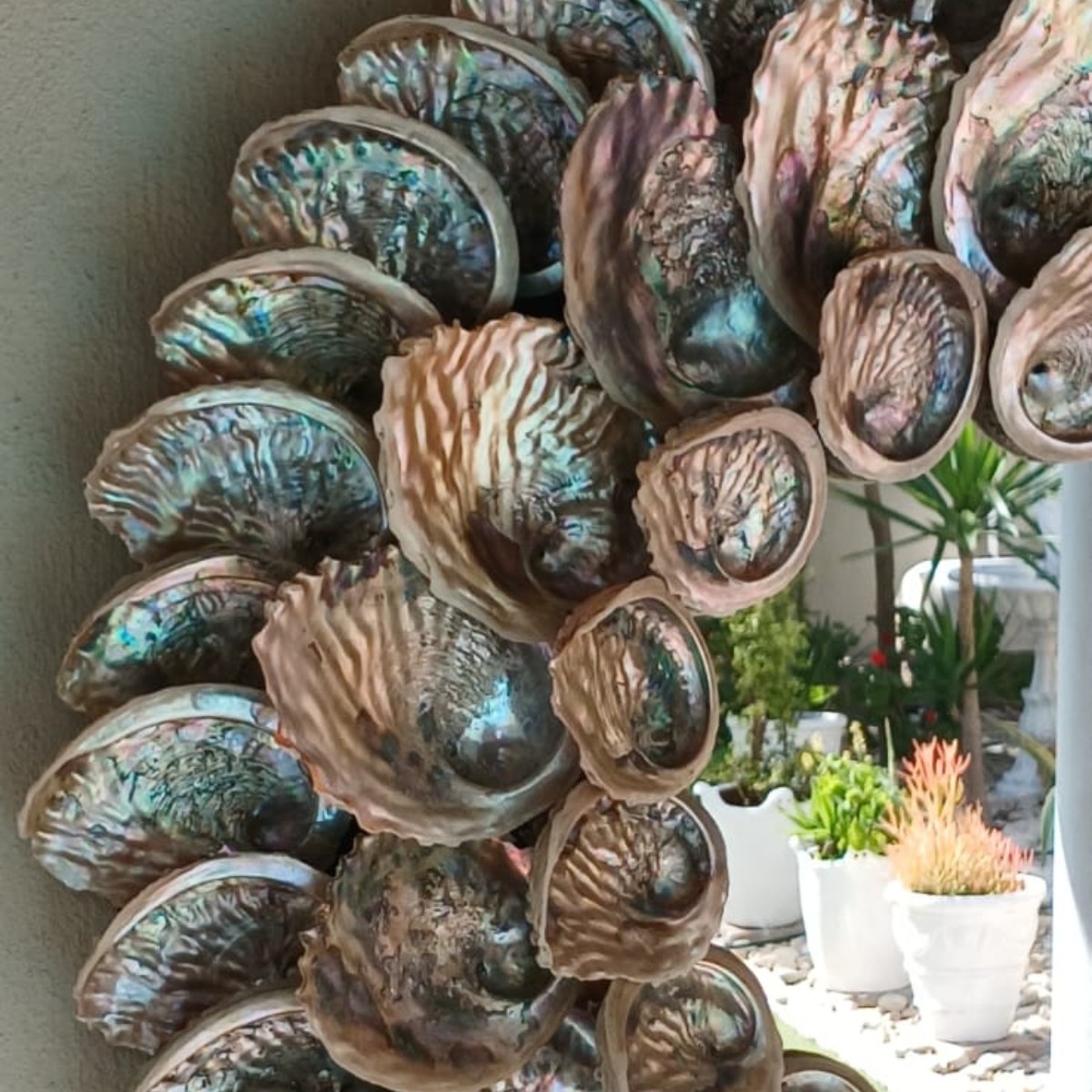 Abalone Galaxy Mirror image 6