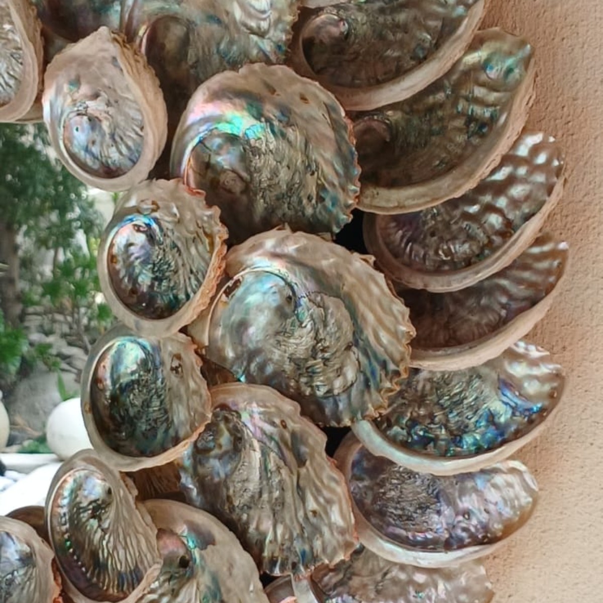 Abalone Galaxy Mirror image 4