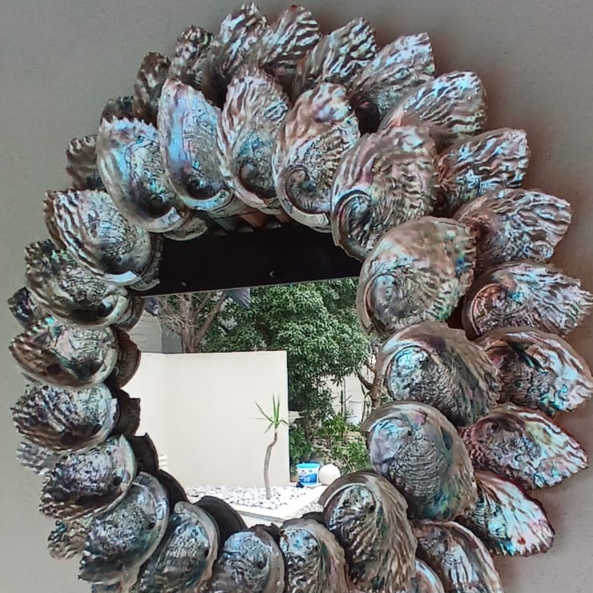 Abalone Sunrise