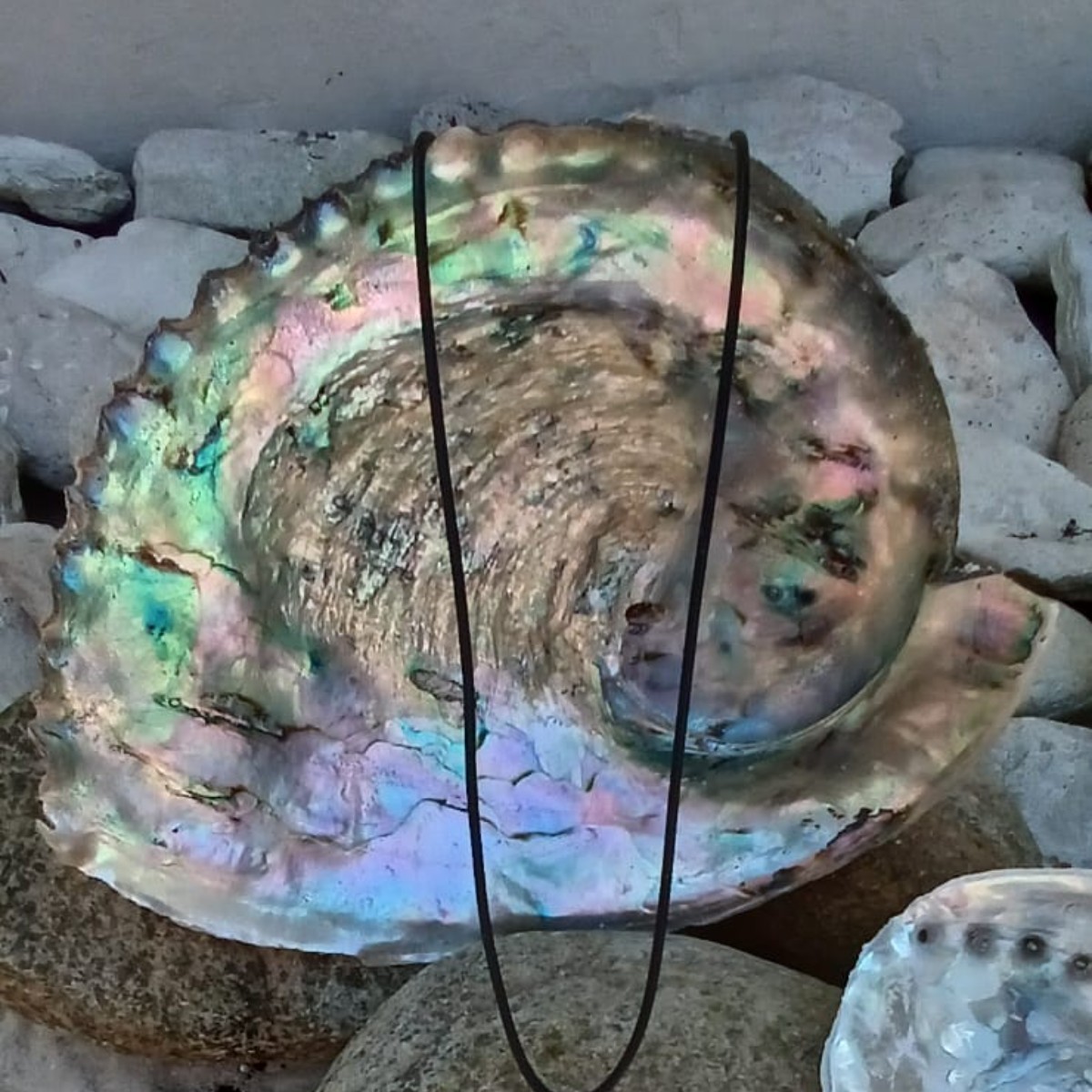 Abalone Swirl Pendant & Cord image 6