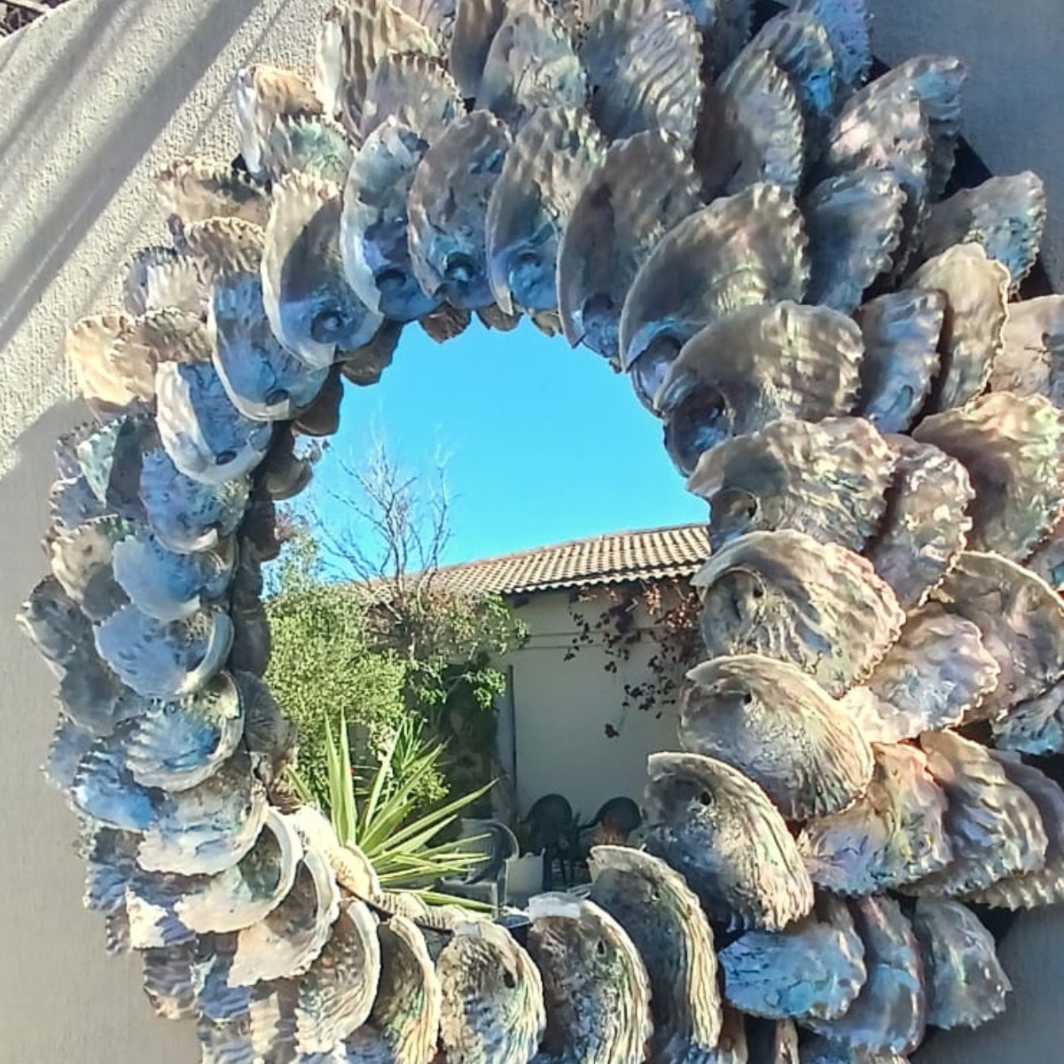 Abalone Ocean Mirror image 7