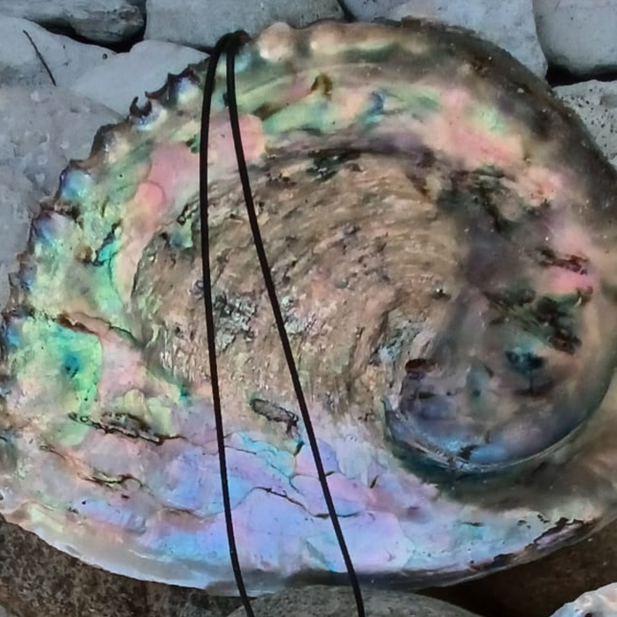 Sea Alchemy Pendant & Cord image 4