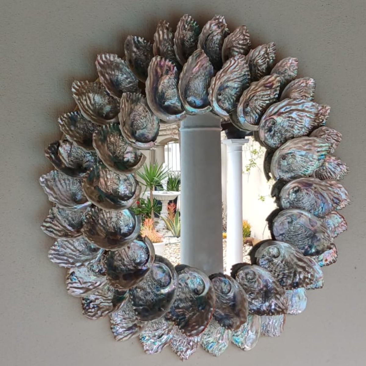 Abalone Sunrise image 6