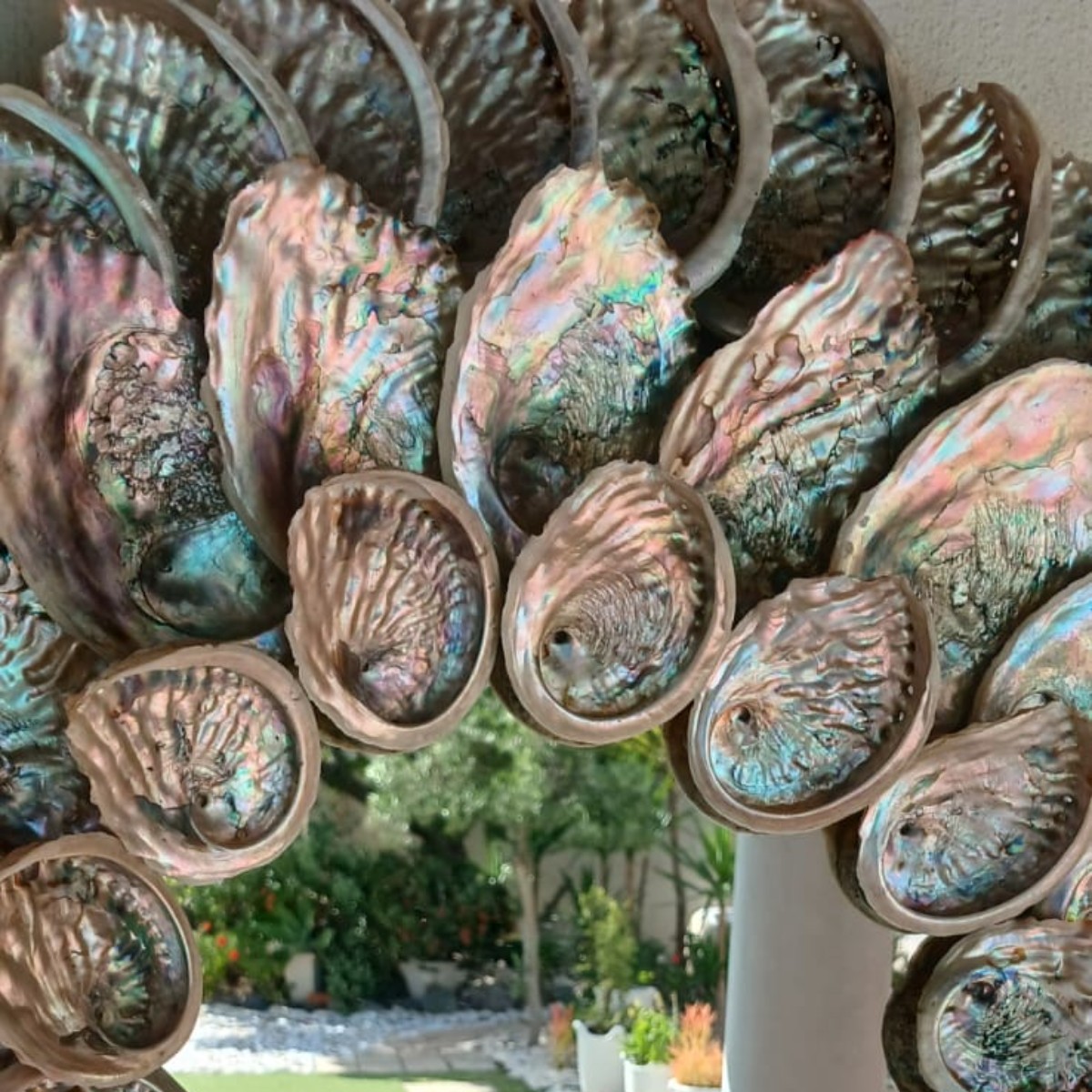 Abalone Galaxy Mirror image 3