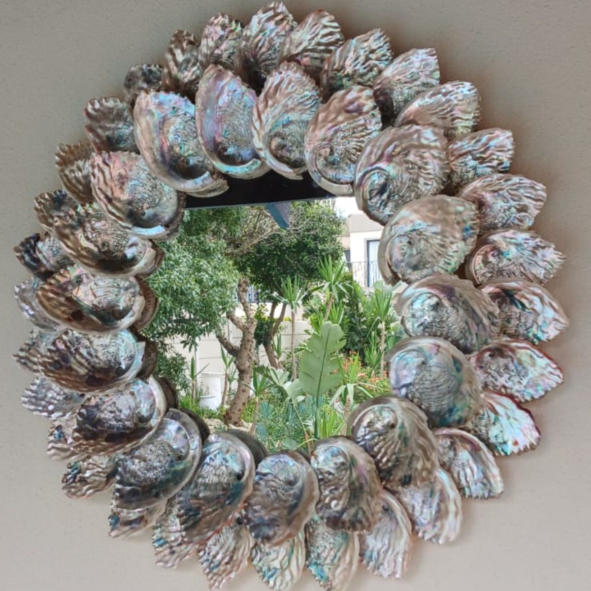 Abalone Sunrise image 2