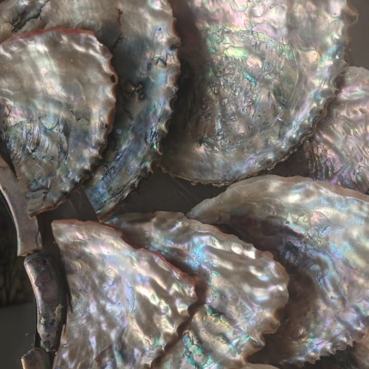 Abalone Sky Mirror image 5