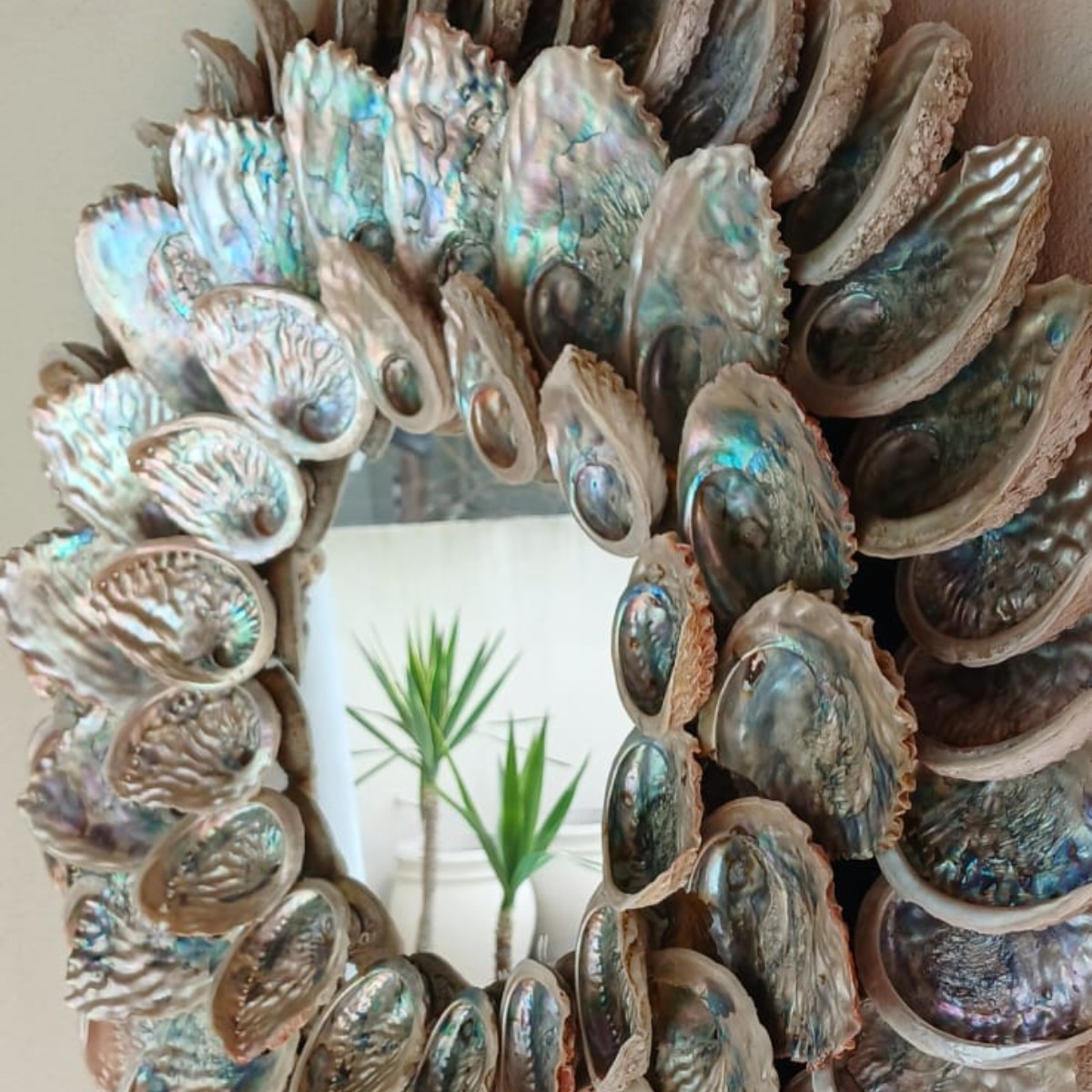 Abalone Galaxy Mirror image 5