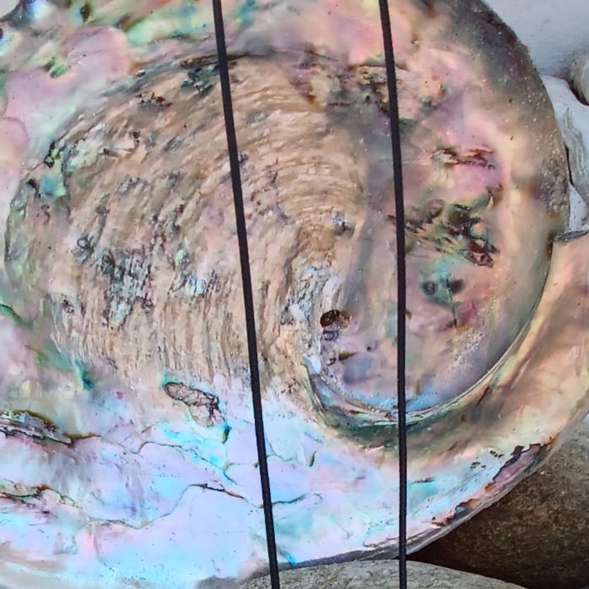 Moonlit Shore Pendant image 5