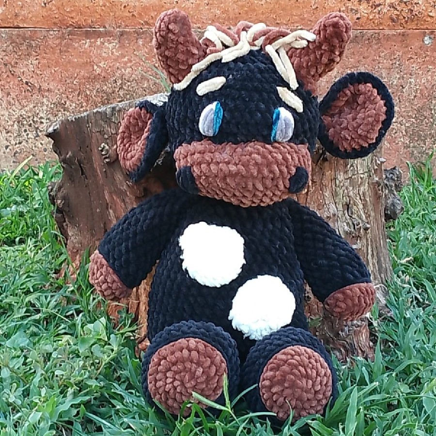 Cows image 3