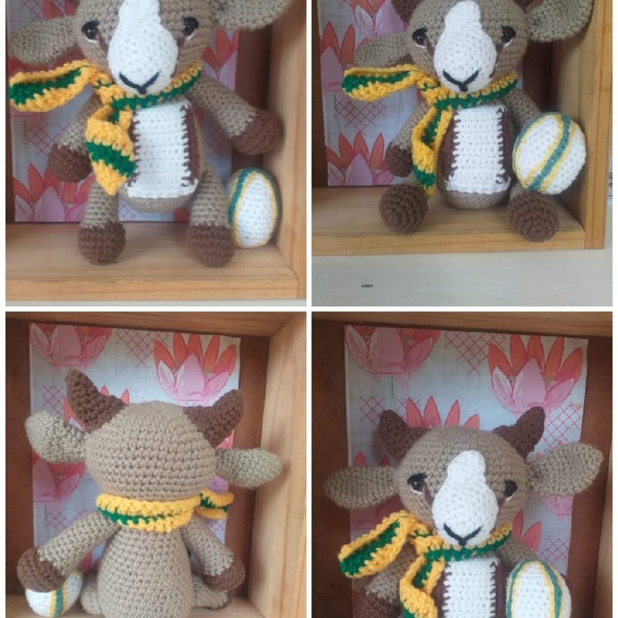 Springbokkie image 2