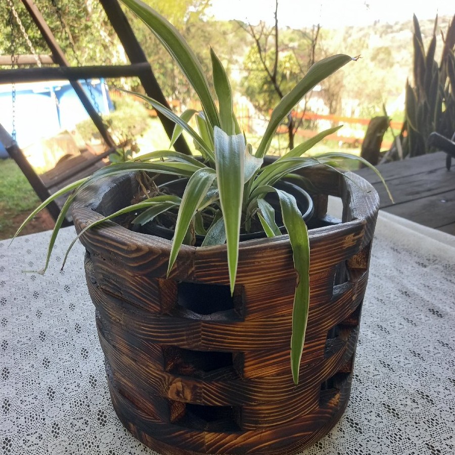 Woodturned Basket image 3
