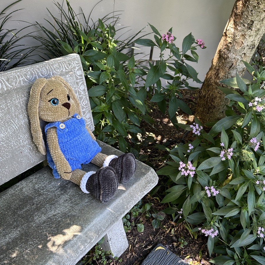 Bunny Boy image 3