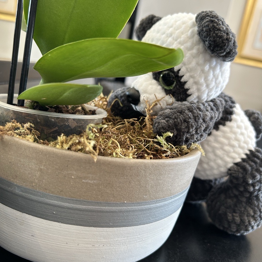 Small Panda Bear image 2