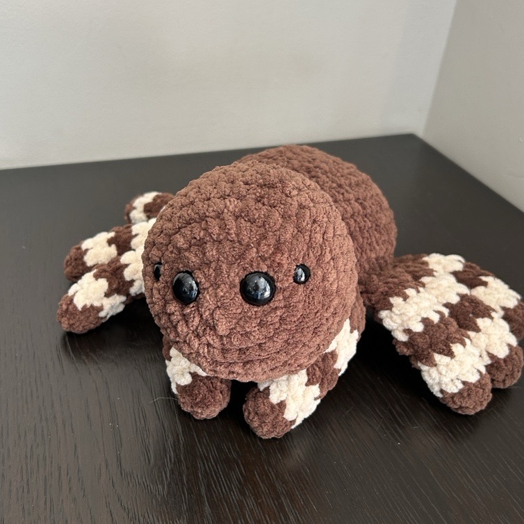 Brown Spider