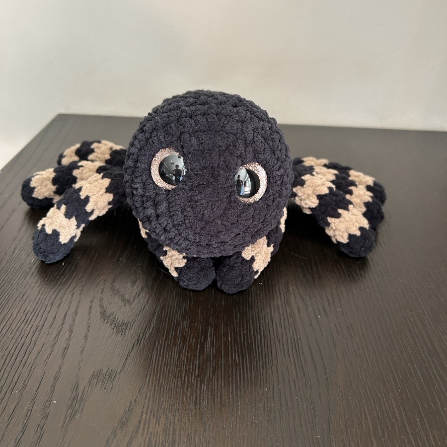 Black And Brown Spider