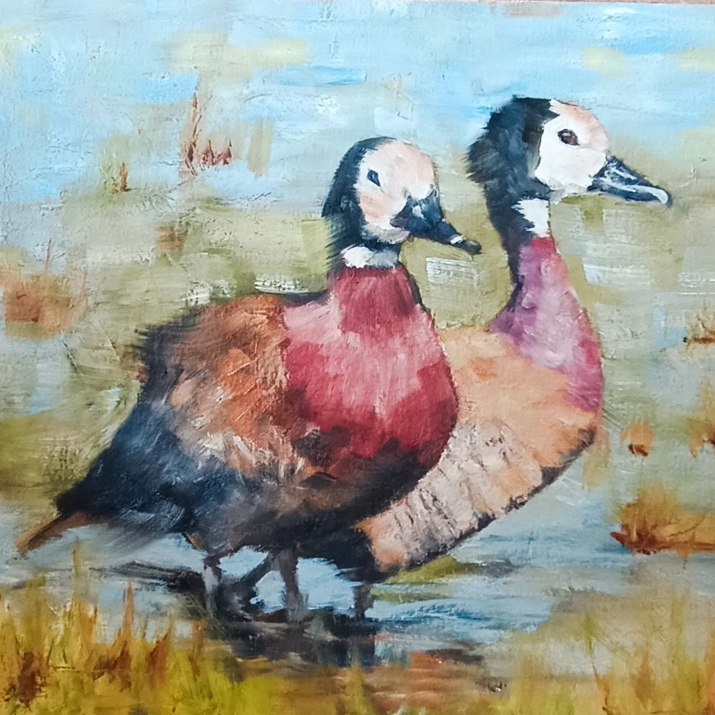 Tembe White Faced Ducks
