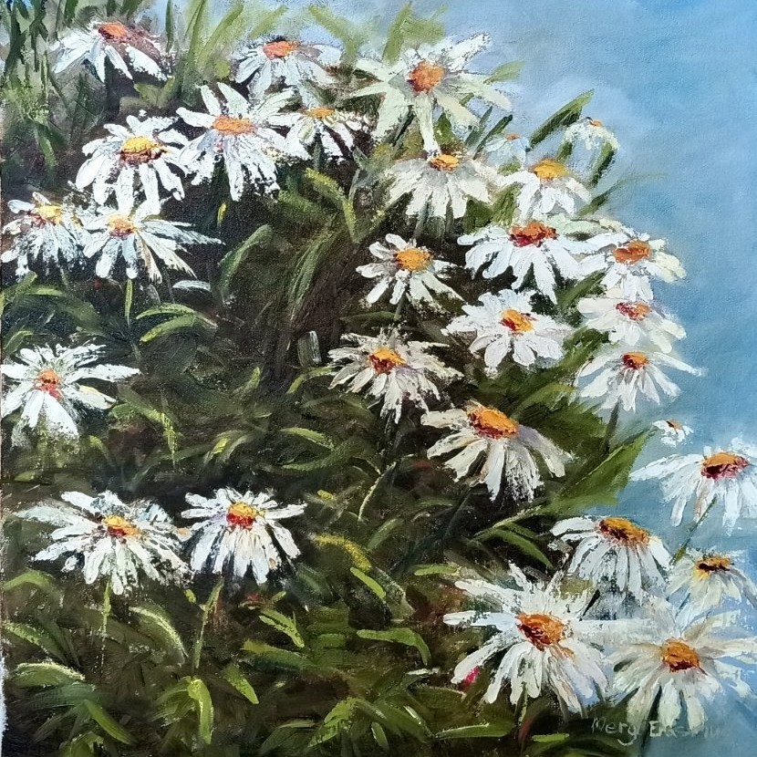 White Daisies image 2
