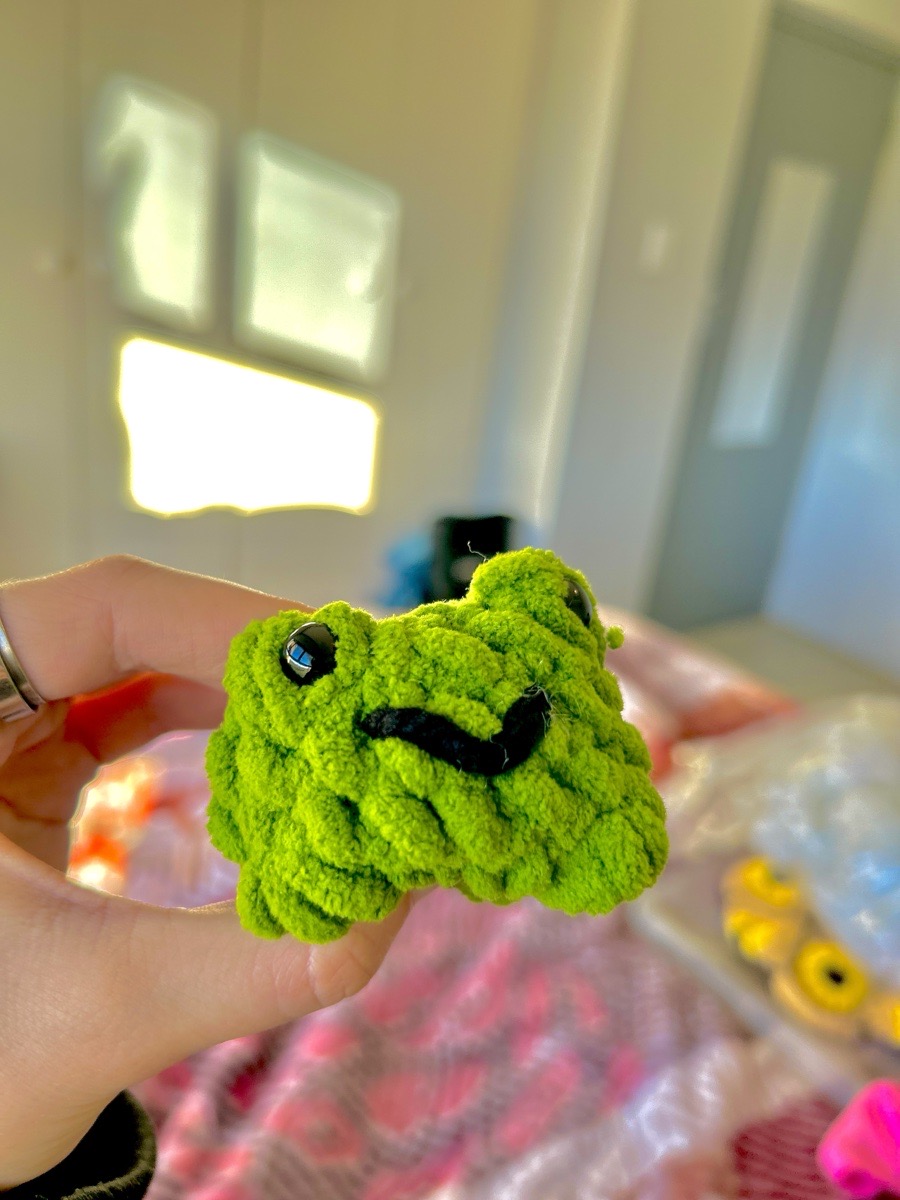 Comfort Frog image 2