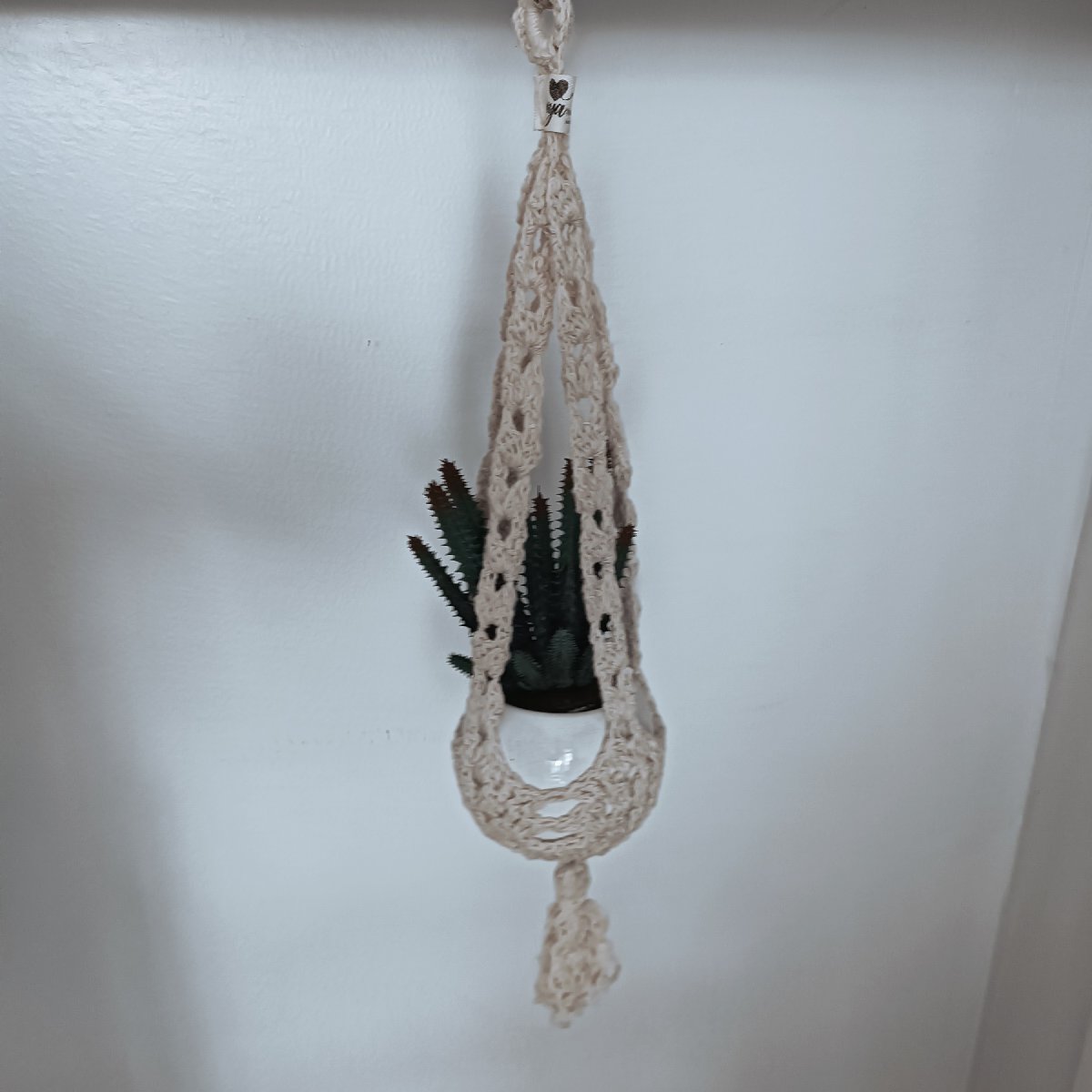 Plant Display Hanger