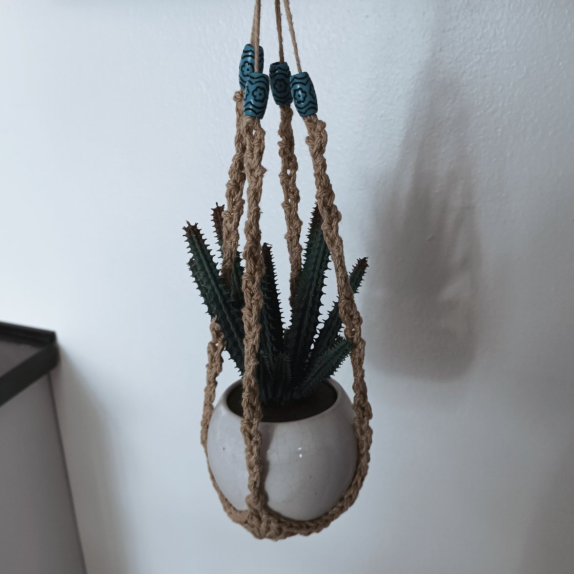 Plant Display Hanger