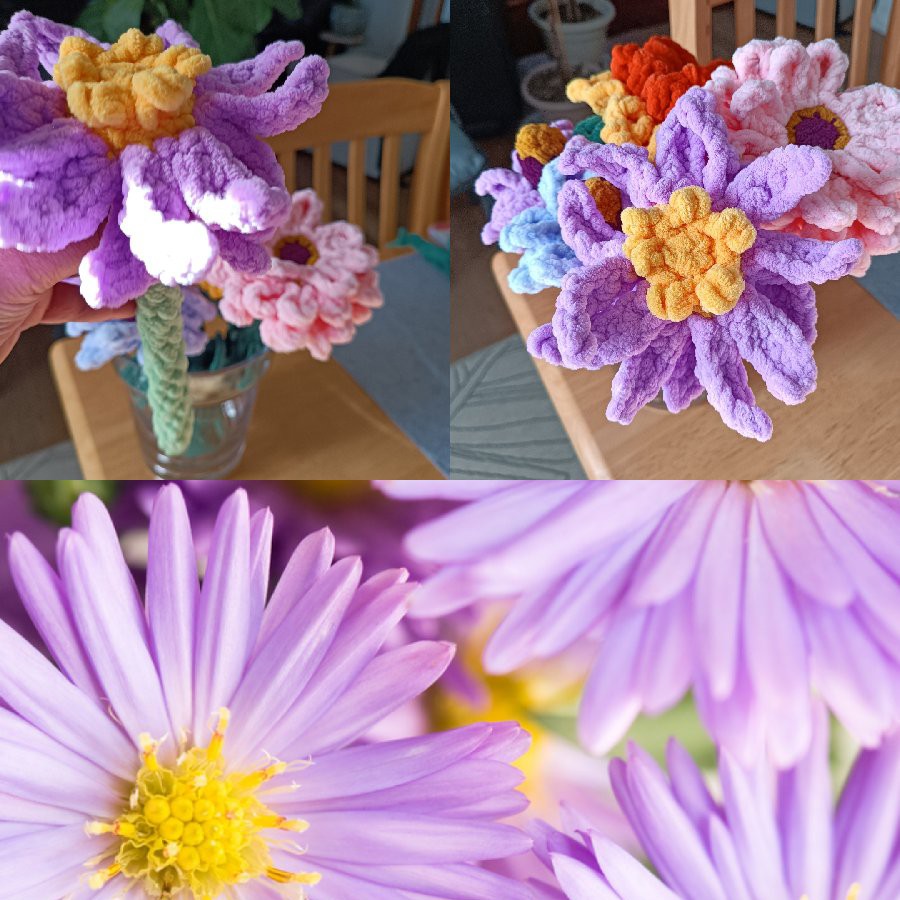 ✨NEW✨ Flowers Collection_ Aster