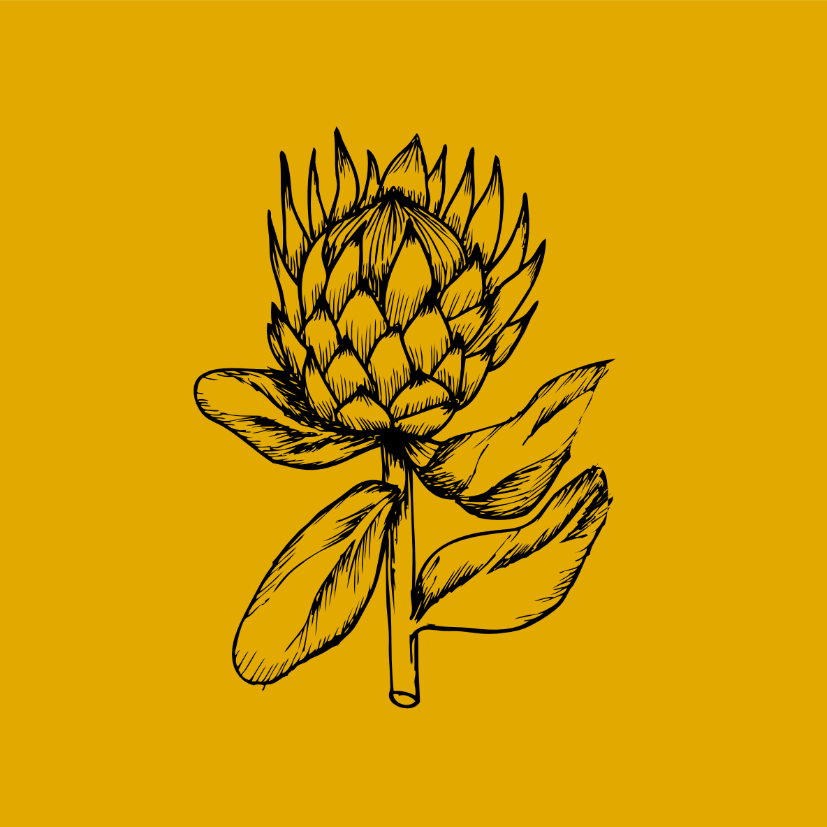 Sugarbush Loop Studio logo